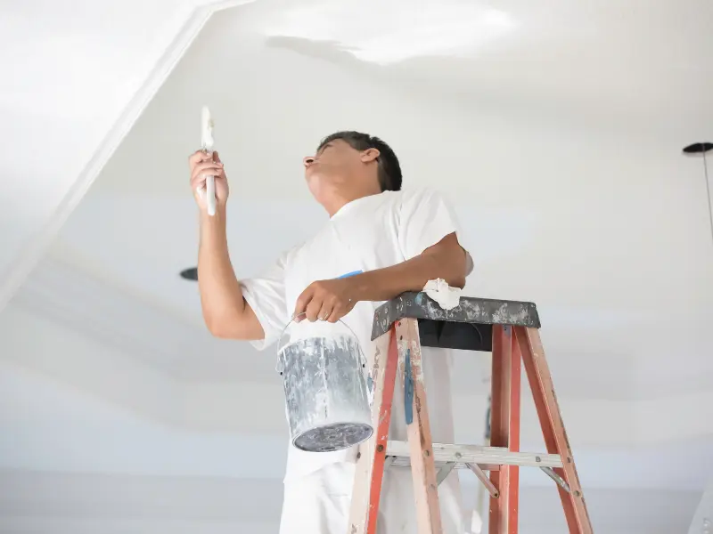 Wall & Ceiling Painting